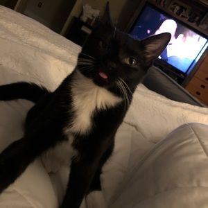 Meet your Posher, Monica